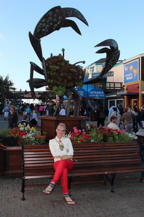 ���-���������